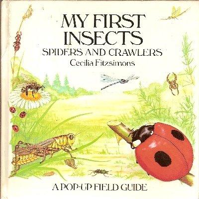 Book My First Insects, Spiders and Crawlers (Pop Up) free