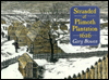 Book Stranded at Plimoth Plantation 1626 free