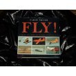Book Fly!: A Brief History of Flight Illustrated (Willa Perlman Books) free