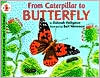 Book From Caterpillar to Butterfly (Let's-Read-and-Find-Out Science 1) free
