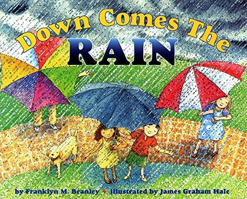 Book Down Comes the Rain (Let's-Read-and-Find-Out Science, Stage 2) free
