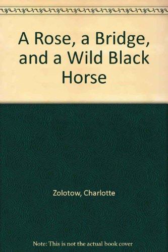 Book A Rose, a Bridge, and a Wild Black Horse free
