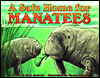 Book A Safe Home for Manatees (Let'S-Read-And-Find-Out Science. Stage 1) free