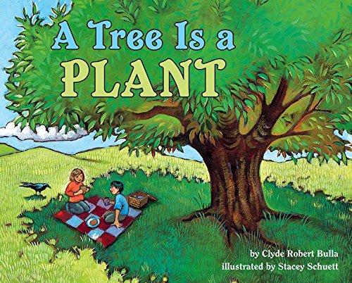 Book A Tree Is a Plant (Let's-Read-and-Find-Out Science) free