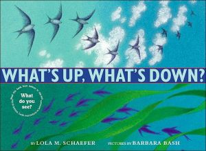 Book What's Up, What's Down? free