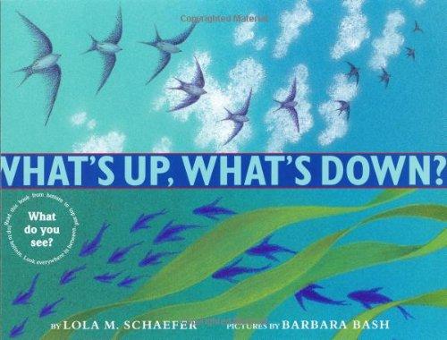 Book What's Up, What's Down? free