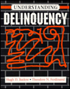 Book Understanding Delinquency free