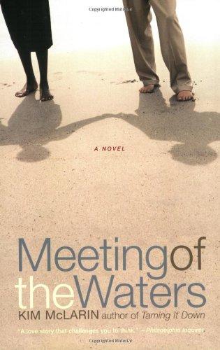 Book Meeting of the Waters: A Novel free