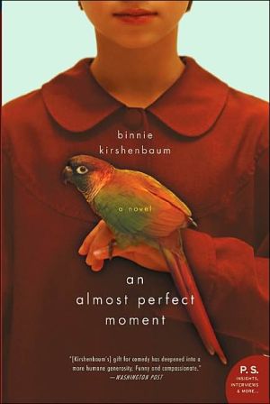 Book Almost Perfect Moment, An: A Novel free