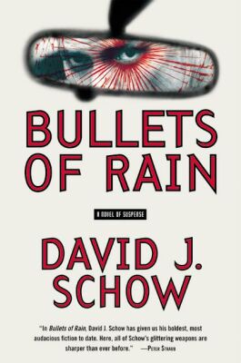 Book Bullets of Rain: A Novel of Suspense free
