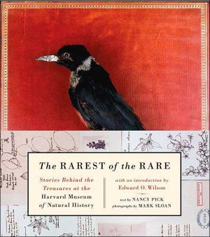 Book The Rarest of the Rare: Stories Behind the Treasures at the Harvard Museum of Natural History free