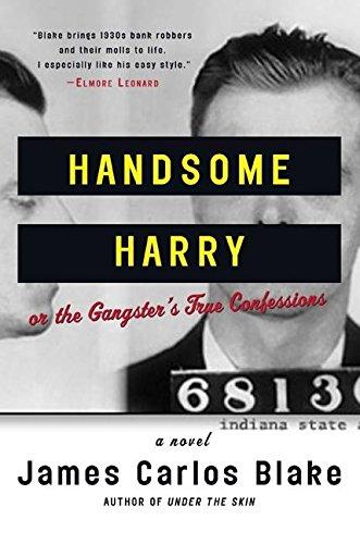 Book Handsome Harry: A Novel free