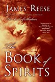 Book The Book of Spirits free