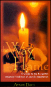 Book The Way of Flame: A Guide to the Forgotten Mystical Tradition of Jewish Meditation free