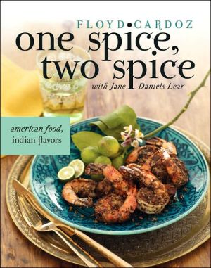 Book One Spice, Two Spice: American Food, Indian Flavors free
