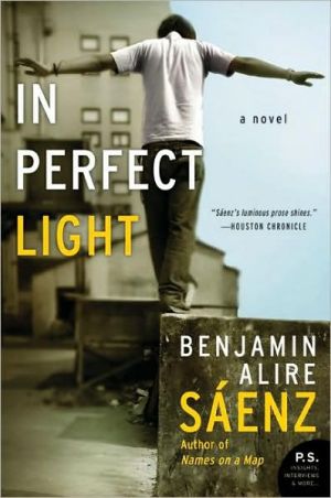 Book In Perfect Light: A Novel (P.S.) free