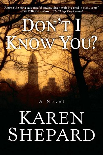 Book Don't I Know You?: A Novel free