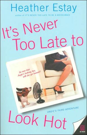 Book It's Never Too Late to Look Hot free