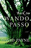 Book Back to Wando Passo: A Novel free