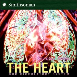 Book The Heart: All about Our Circulatory System and More! (Smithsonian-science) free