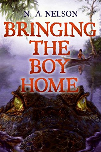 Book Bringing the Boy Home free