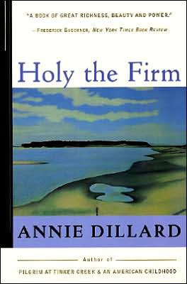 Book Holy the Firm free