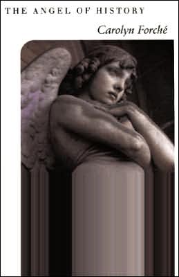 Book The Angel of History free