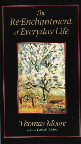 Book The Re-Enchantment of Everyday Life: International Edition free