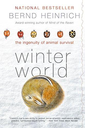 Book Winter World free