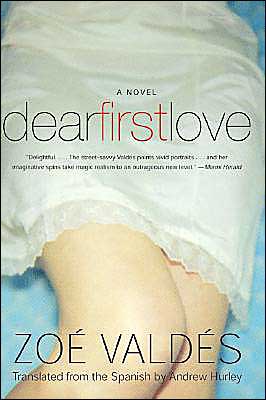 Book Dear First Love: A Novel free