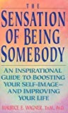 Book The Sensation of Being Somebody: Building an Adequate Self-Concept free