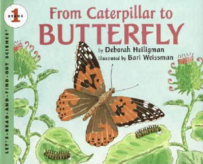 Book From Caterpillar to Butterfly Big Book (Let's-Read-and-Find-Out Science 1) free