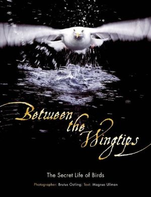 Book Between the Wingtips: The Secret Life of Birds free