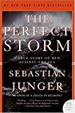 Book The Perfect Storm free