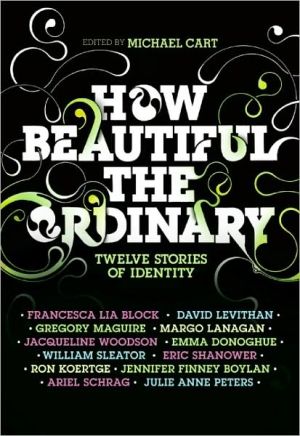 Book How Beautiful the Ordinary: Twelve Stories of Identity free