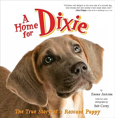 Book A Home for Dixie: The True Story of a Rescued Puppy free