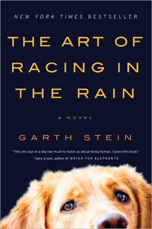 Book The Art of Racing in the Rain: A Novel free