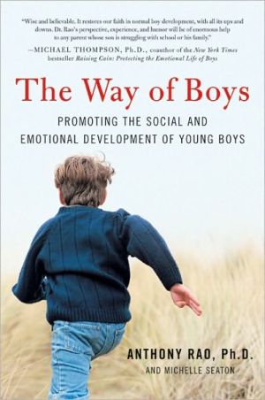 Book The Way of Boys: Promoting the Social and Emotional Development of Young Boys free