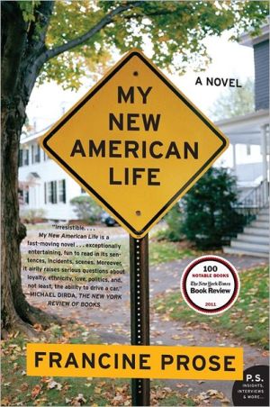 Book My New American Life: A Novel free