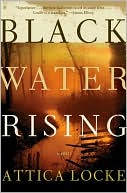 Book Black Water Rising: A Novel free