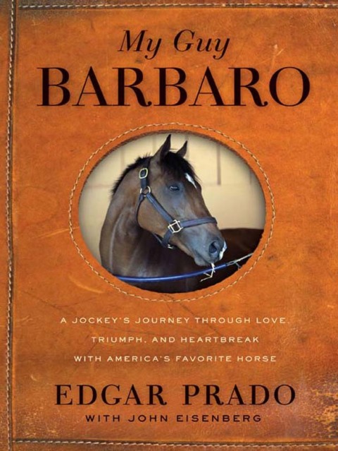 Book My Guy Barbaro free