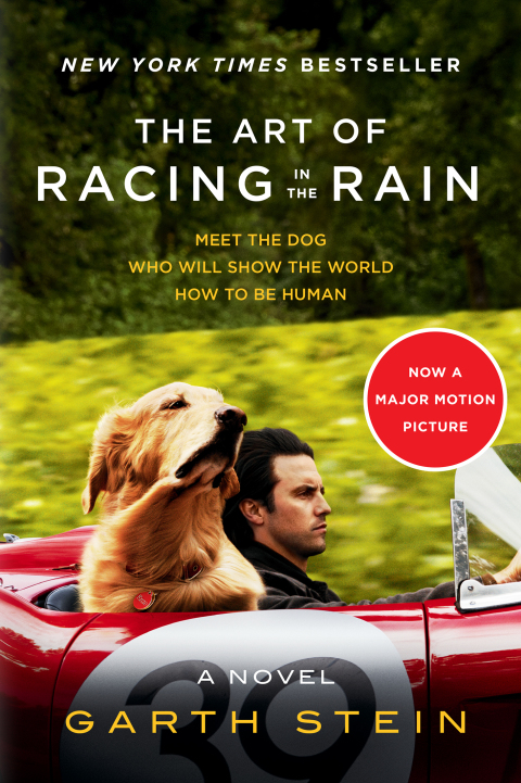 Book The Art of Racing in the Rain: A Novel free