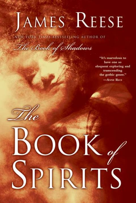 Book The Book of Spirits free