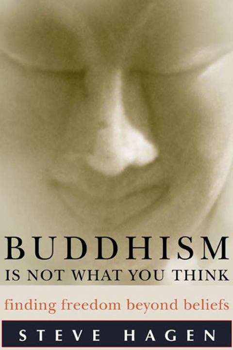 Book Buddhism Is Not What You Think: Finding Freedom Beyond Beliefs free