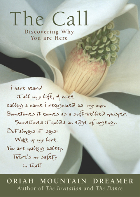 Book The Call: Discovering Why You Are Here free