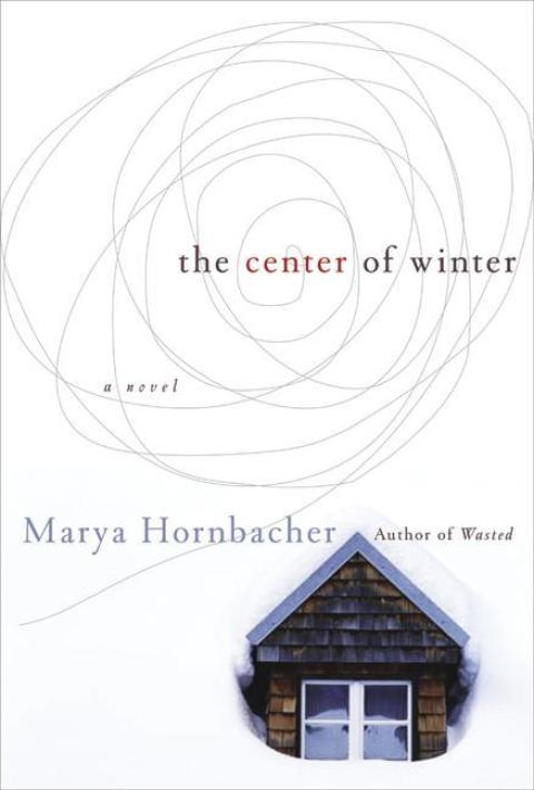 Book The Center of Winter: A Novel free