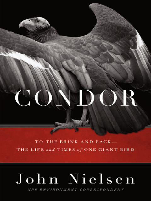 Book Condor free