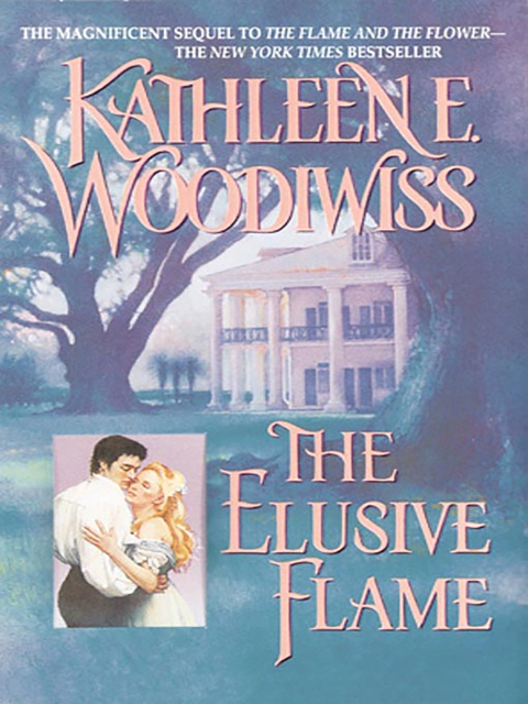 Book Elusive Flame (Birmingham Book 3) free