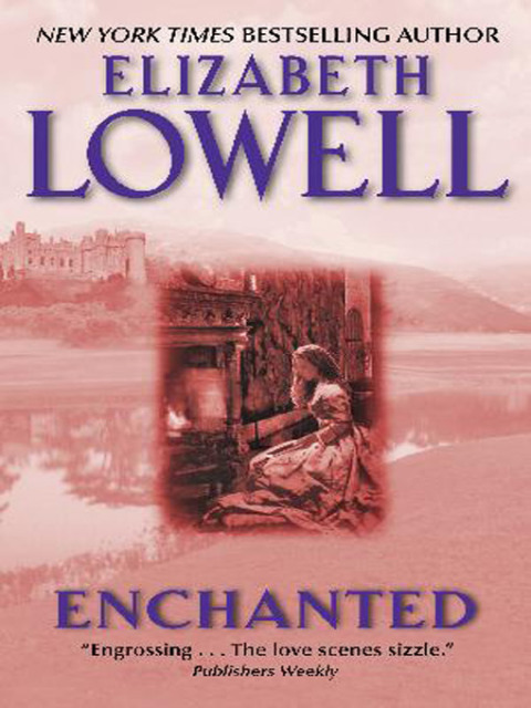 Book Enchanted (Medieval Book 3) free