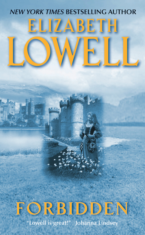 Book Forbidden (Medieval Book 2) free